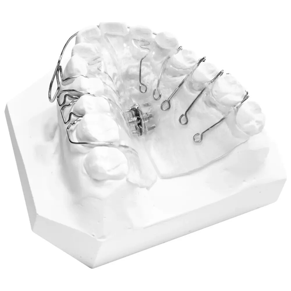 orthodontic-base
