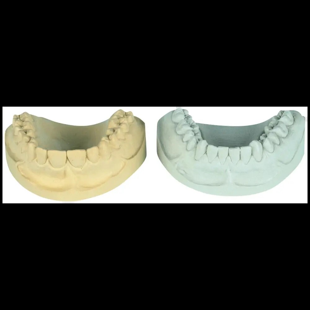 picodent® N 100