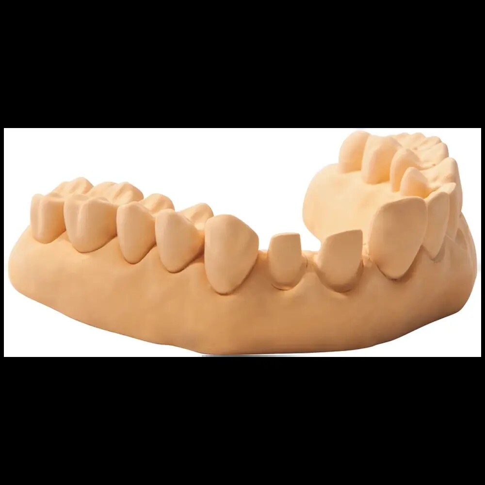 uni-base® 300