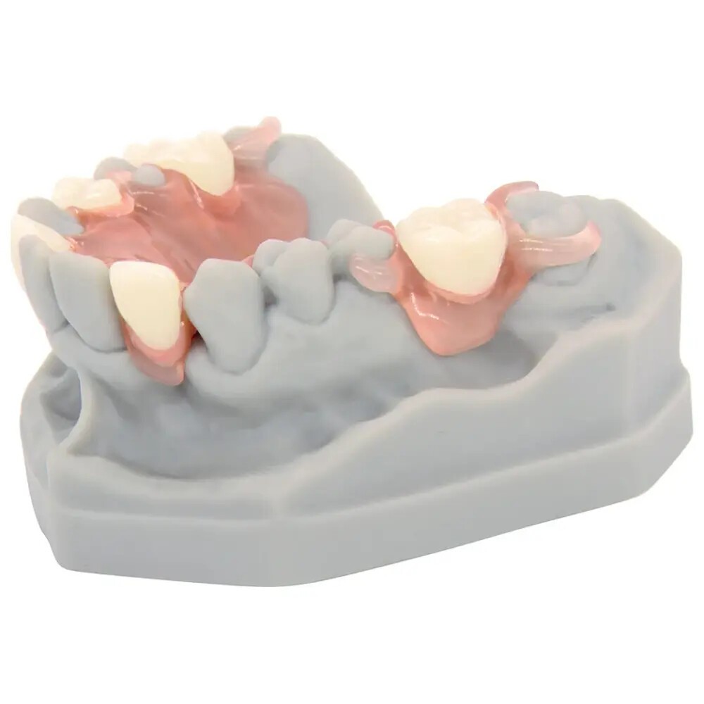 dentona vivapink