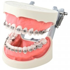 Brackets- Demonstrationsmodell D50D-JME9