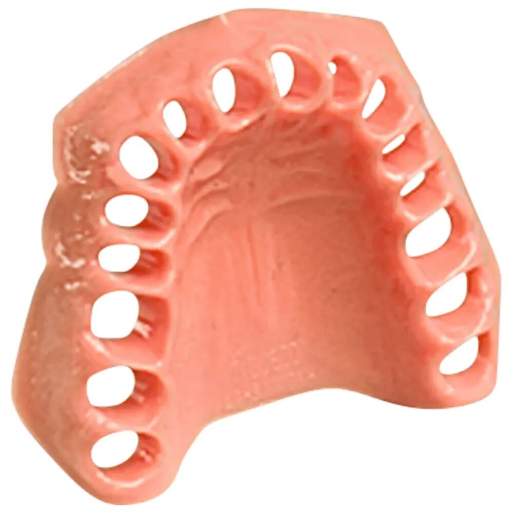 Dentalhygiene-Modell