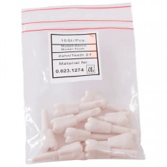 Schnappzahn Modell Molar