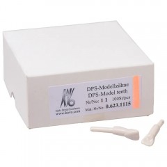Schnappzahn Modell Schneidezahn